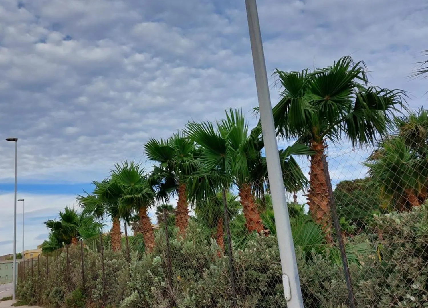 Appartamento L'Appartamento Del Mare Marsala